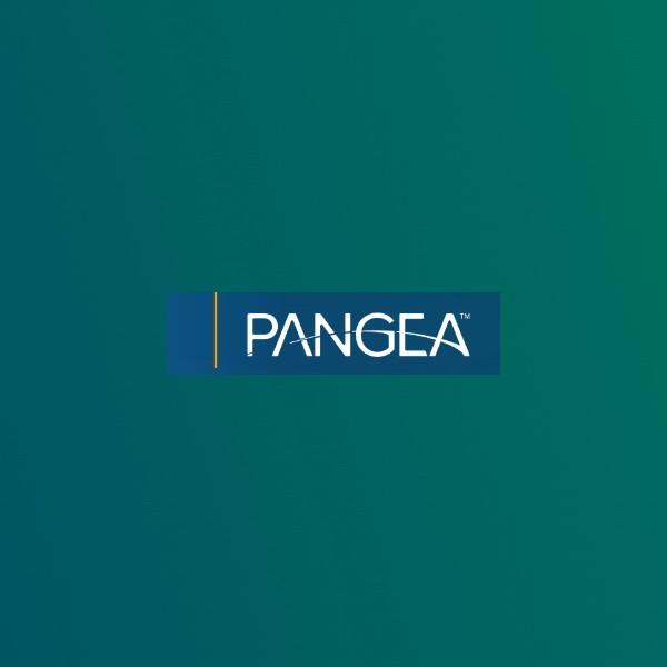 Empowering a Global Talent Vision: The Launch of Pangea-TS.com by RecruiterWEB