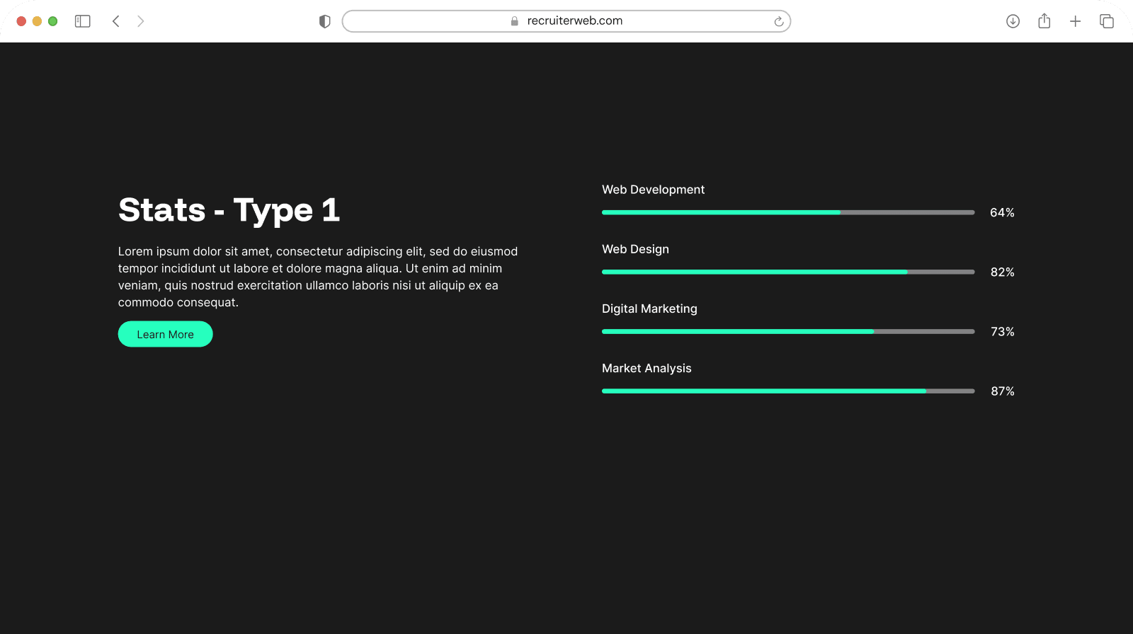 "Stats - Type 1" widget example: labeled progress bars with percentages