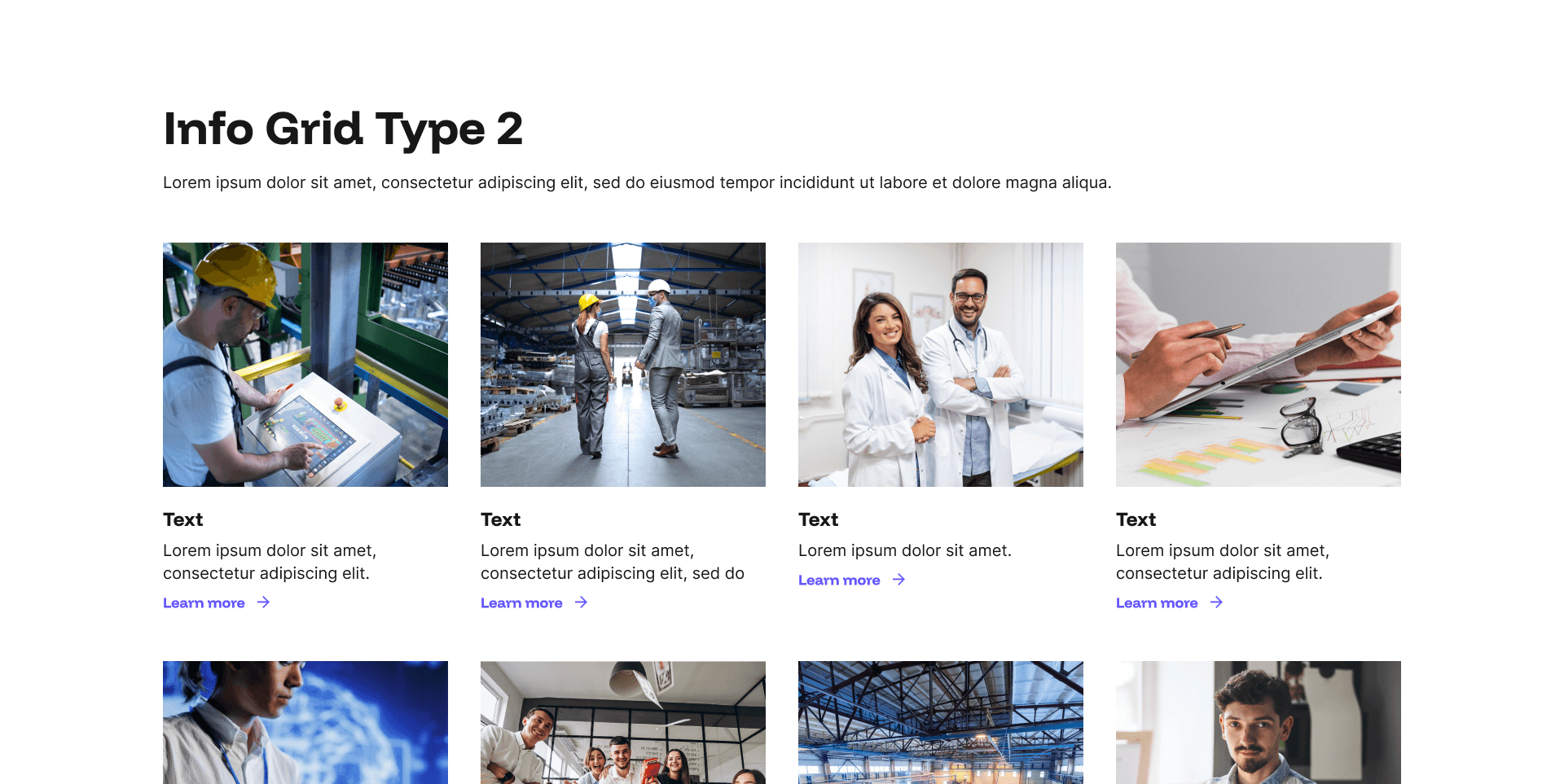 "Info Grid Type 2" example page: four-item photo and text grid